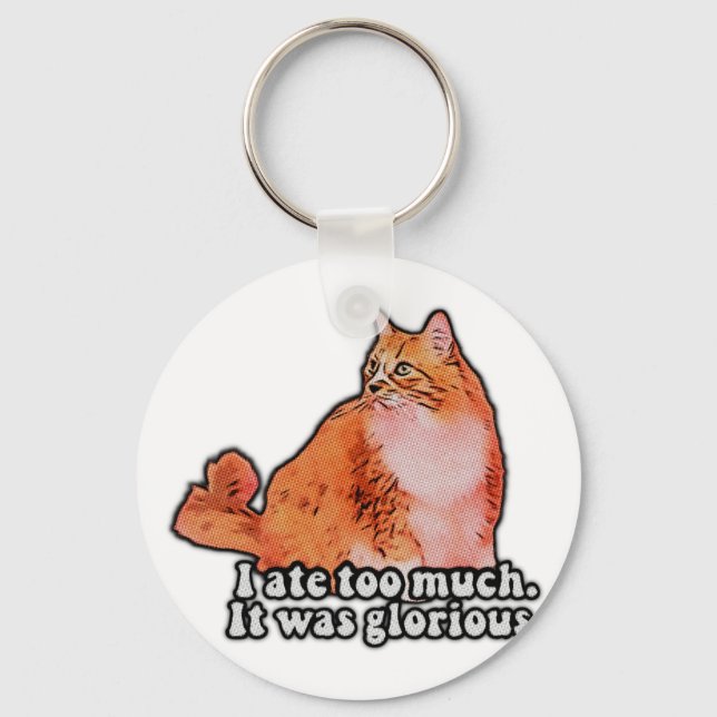 Grumpy cat meme for cat persons and kitten lovers key ring (Front)