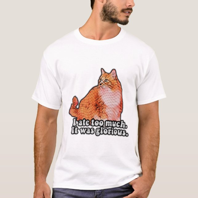 Grumpy cat meme for cat persons and kitten lovers T-Shirt (Front)