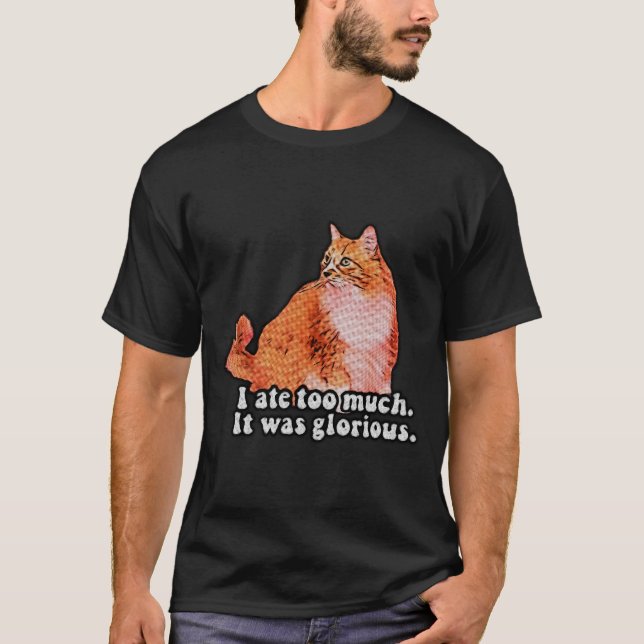 Grumpy cat meme for cat persons and kitten lovers T-Shirt (Front)