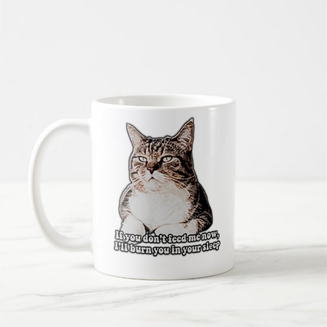 Grumpy cat meme for cat persons and kitten owners coffee mug (Left)