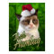 Grumpy Cat Merry Christmas / Bah Humbug