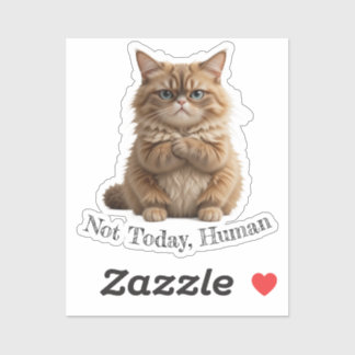 Grumpy Cat "Not Today, Human" Funny Pet Meme