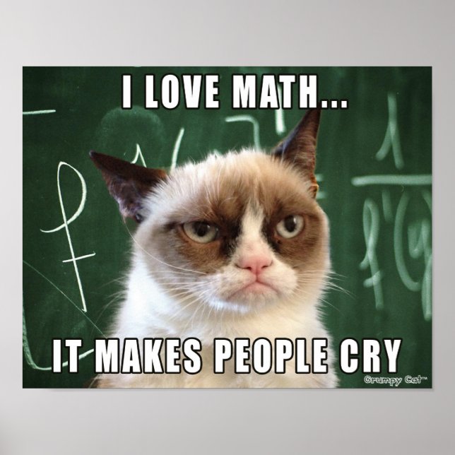 Grumpy Cat Poster- I love math it makes people cry Poster (Front)
