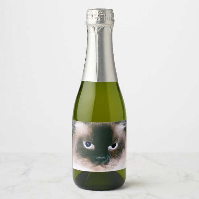 Grumpy Cat Sparkling Wine Label (Front)