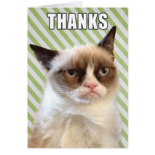 grumpy-cat-thank-you-card-zazzle