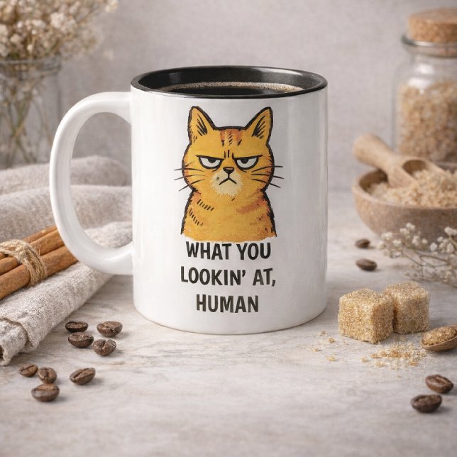 Grumpy Cat –“What You Lookin’ At, Human” Funny Two-Tone Coffee Mug (Creator Uploaded)