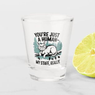 Grumpy Cat – 'You're Just a Human, My Staff Really Shot Glass