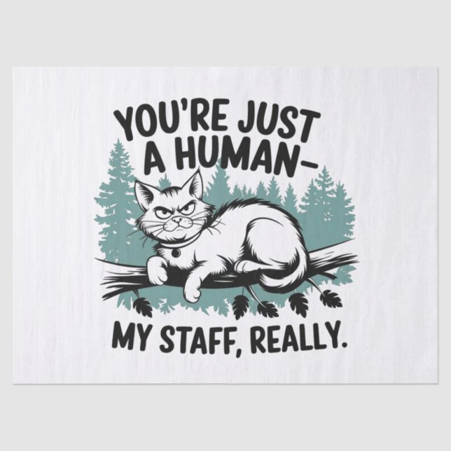 Grumpy Cat – 'You're Just a Human, My Staff Really Tissue Paper (Front)
