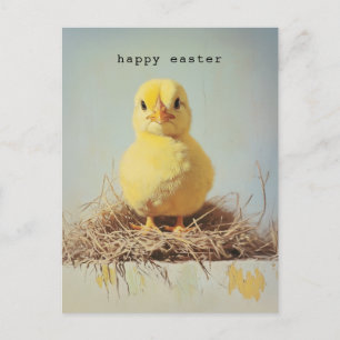 Grumpy Chick in Nest Postcard