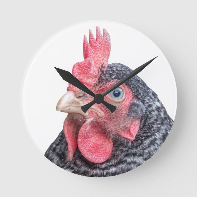 Grumpy Chicken Funny Frowning Hen Photo Round Clock (Front)