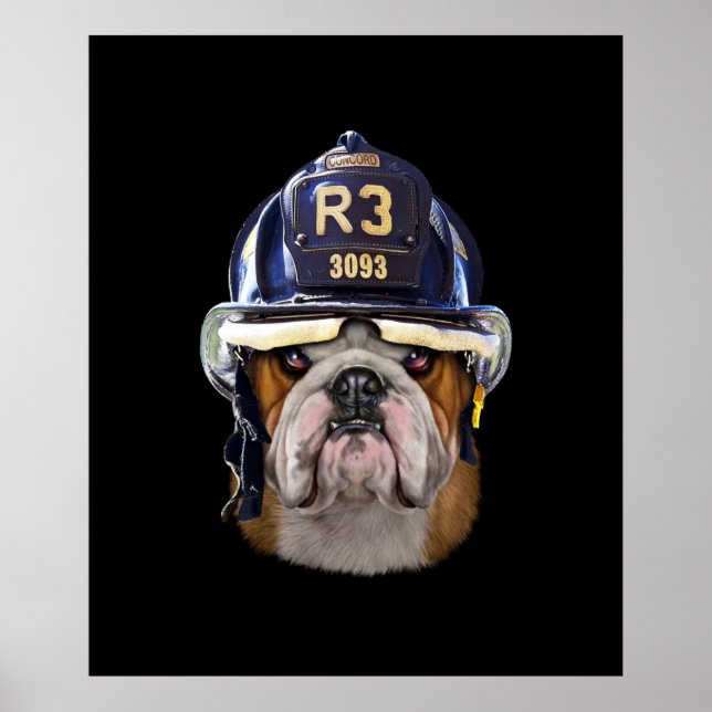 Grumpy English Bulldog Wearing Firefighter Helmet Poster (Front)