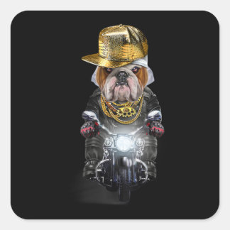 Grumpy English Bulldog wearing Hip Hop Cap Riding Square Sticker