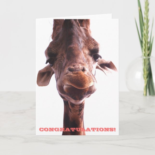 Grumpy Giraffe: Congratulations Card (Front)
