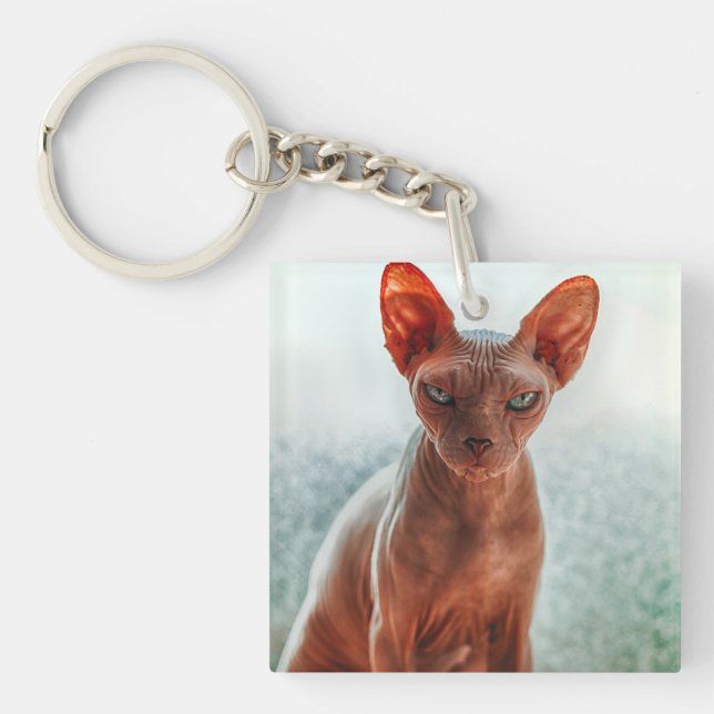 Grumpy Hairless Sphynx Cat Key Ring (Front)