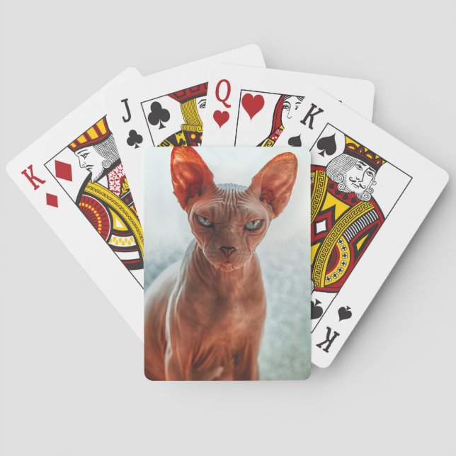 Grumpy Hairless Sphynx Cat Playing Cards (Back)