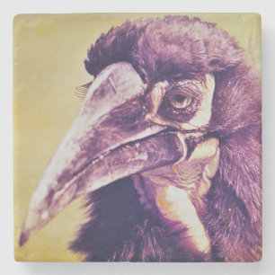 Grumpy hornbill wild life coaster