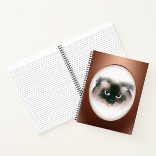 Grumpy Max Notebook