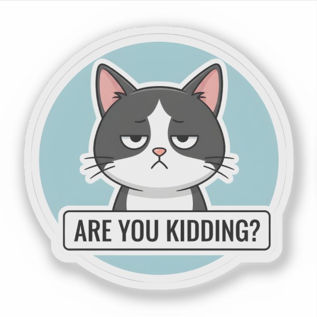 Grumpy Meme Cat – “Are You Kidding?” Funny Cat (Front)