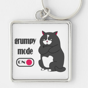Grumpy mode on funny fat cat key ring
