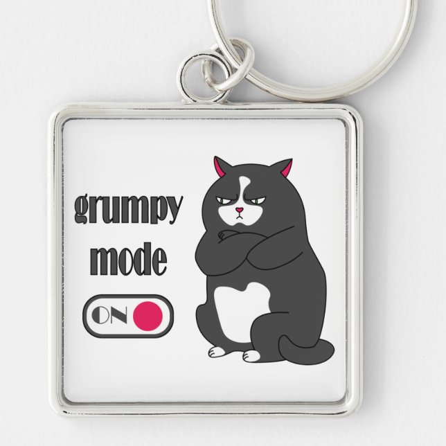 Grumpy mode on funny fat cat  key ring (Front)