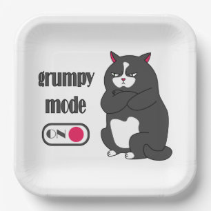 Grumpy mode on funny fat cat  paper plate