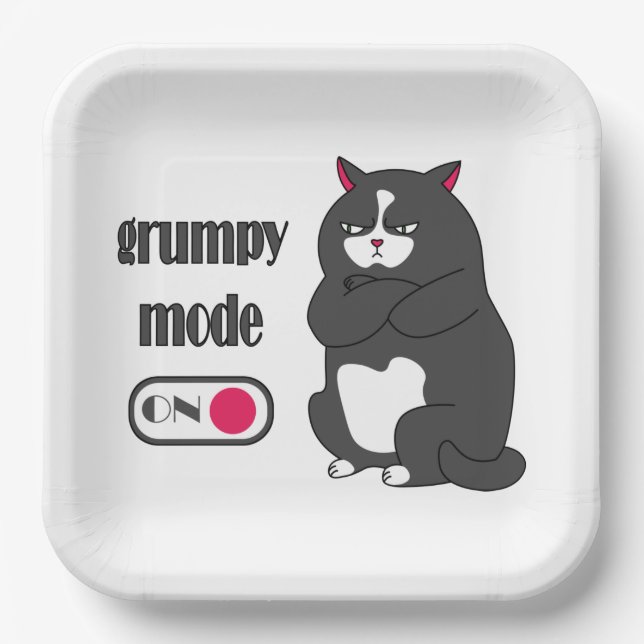 Grumpy mode on funny fat cat  paper plate (Front)
