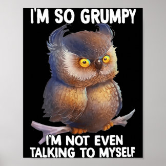 Grumpy not even talking to funny owl poster
