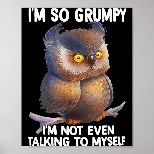 Grumpy not even talking to funny owl poster (Front)