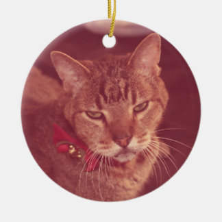 Grumpy Old Deaf Tabby Ornament