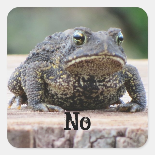 Grumpy Old Toad on a Stump Square Sticker (Front)