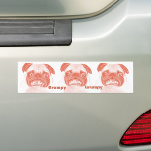 Grumpy Pug Times Three Bumper Sticker
