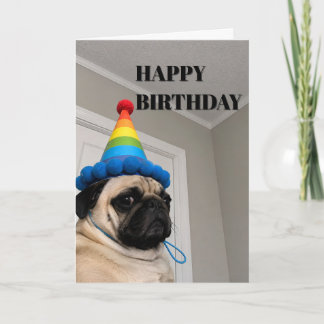 Grumpy Pug Wearing Rainbow Birthday Party Hat Card