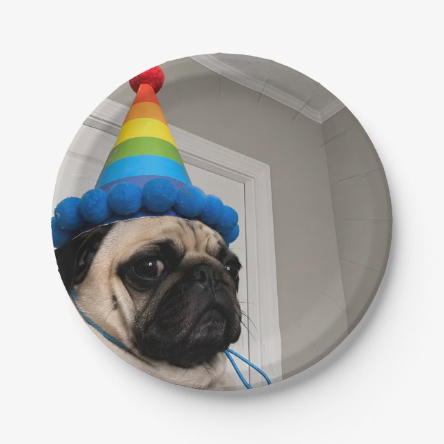 Grumpy Pug Wearing Rainbow Birthday Party Hat Paper Plate (Front)