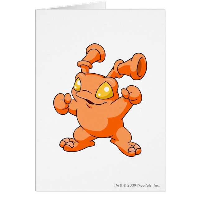 Grundo Orange (Front)
