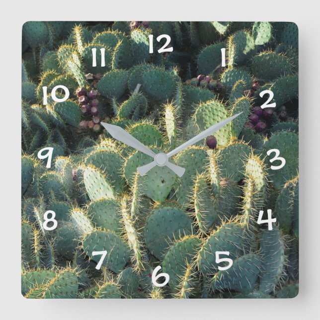 Grüne Kakteen Square Wall Clock (Front)