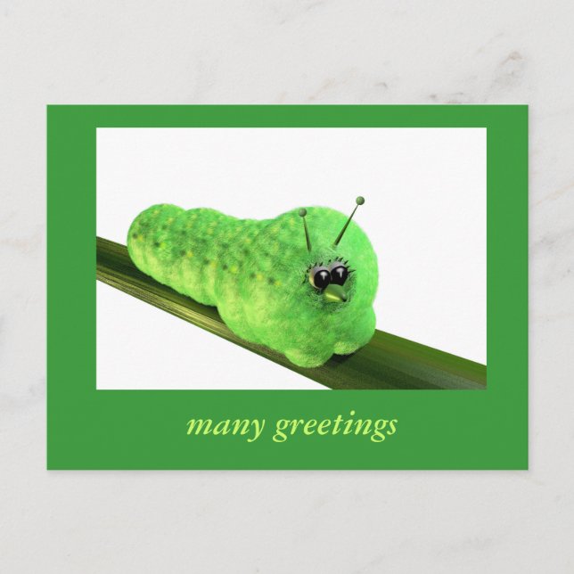 Grüne Raupe Postcard (Front)