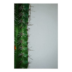 Grüner Kaktus vor weißer Wand Poster