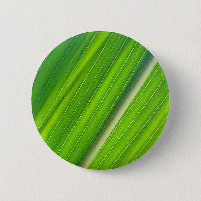 Grünes Maisblattdesign 6 Cm Round Badge (Front)