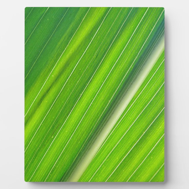 Grünes Maisblattdesign Plaque (Front)