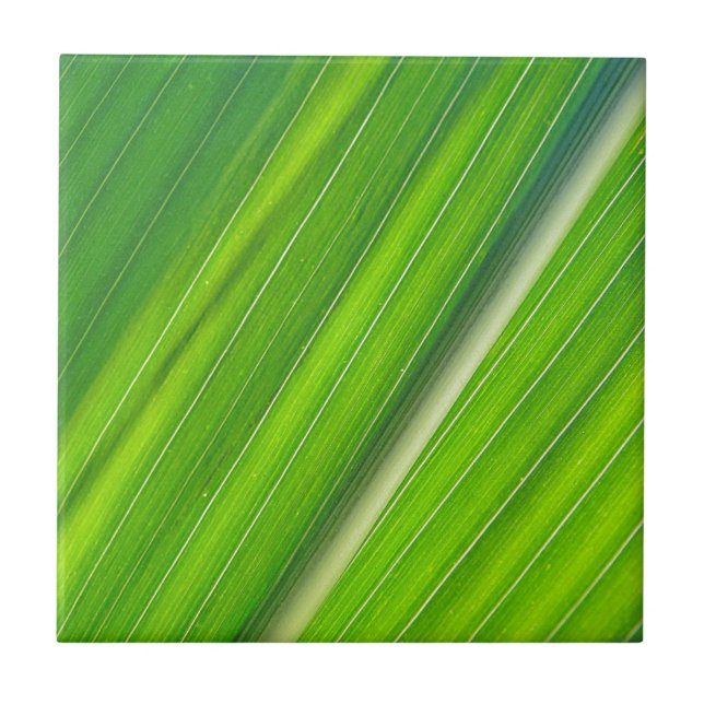 Grünes Maisblattdesign Tile (Front)
