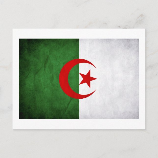 Grunge Algeria National Flag Postcard (Front)