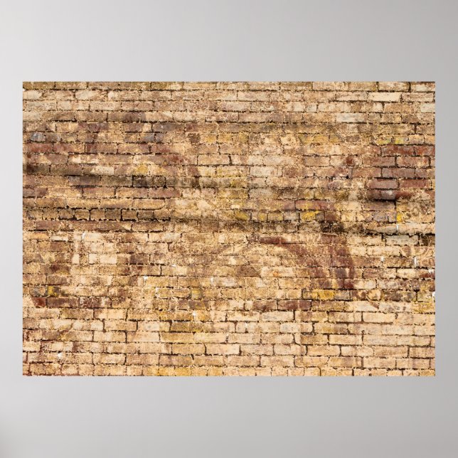 Grunge Brick Wall backdrop Poster (Front)