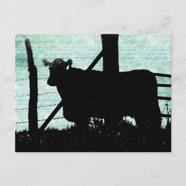 Grunge Cow Silhouette Postcard (Front)