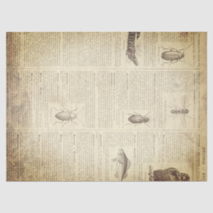 Grunge French Dictionary Page Tissue Paper