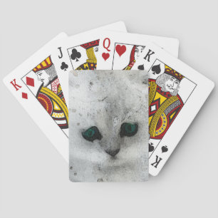 Grunge Kitten Playing Cards