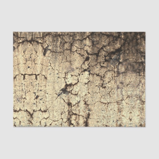 Grunge Rustic Beige Brown Vintage Texture Tissue Paper (Front)