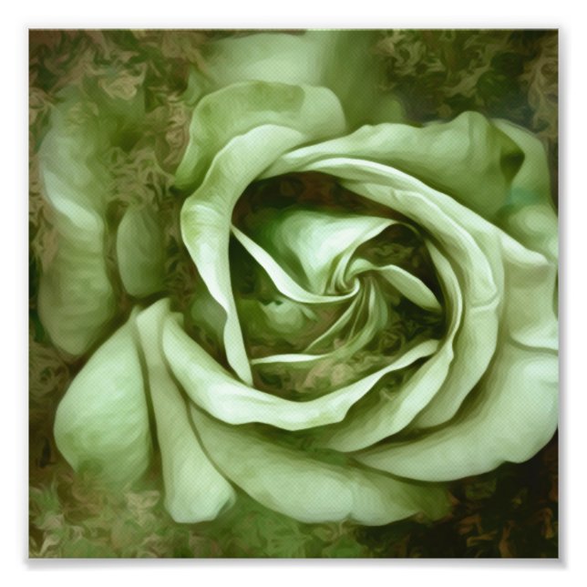 Grunge Texture Painted Rose Photo Print (Front)