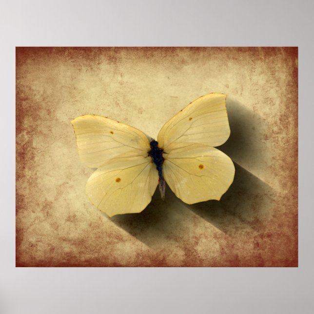 Grunge Yellow Butterfly with Shadow Poster (Front)