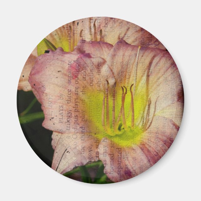 Grunged Up Look Daylily Magnet (Front)
