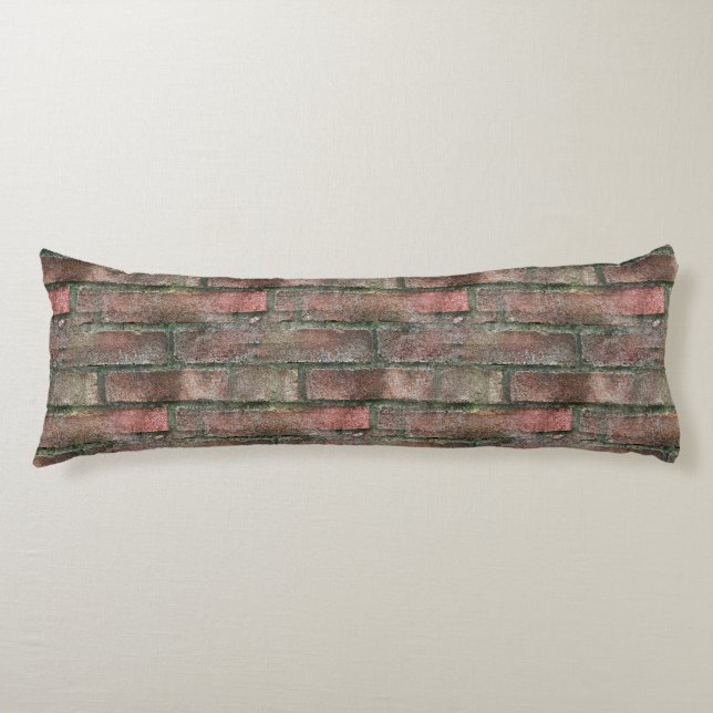Grungy Dirty Moldy Brick Wall  Body Cushion (Front)